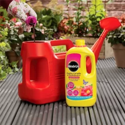 Miracle-Gro Azalea, Camellia & Rhododendron Concentrated Liquid Plant Food - 1L 6 Miracle-Gro Azalea, Camellia & Rhododendron Concentrated Liquid Plant Food - 1L -Garden Furniture Store 12804885 2284842795563493