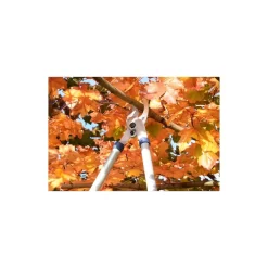Spear & Jackson Razorsharp Tele Bypass Lopper 14 Spear & Jackson Razorsharp Tele Bypass Lopper -Garden Furniture Store 12810811 1464833196929633