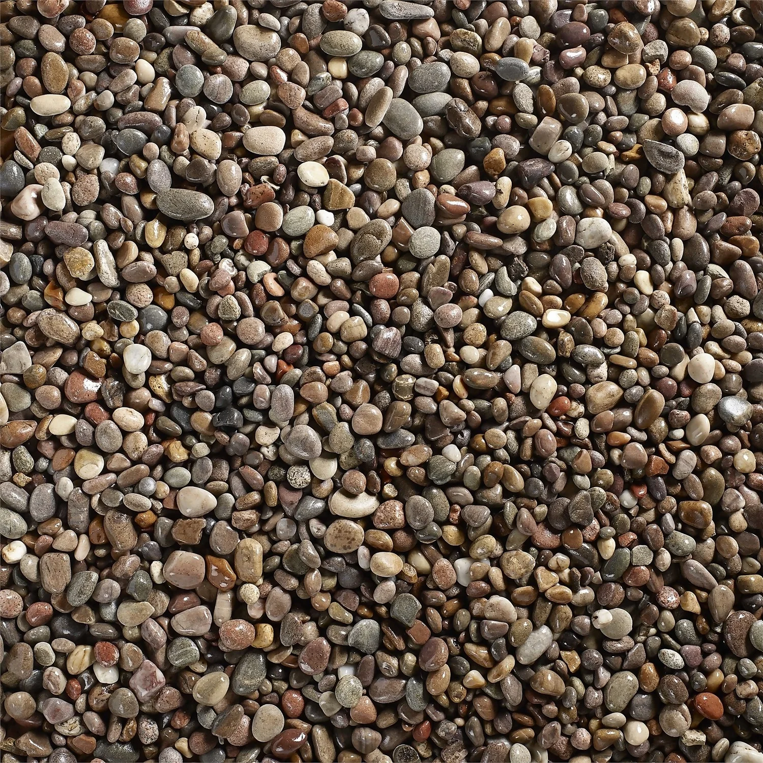 Stylish Stone Premium Scottish Pebbles 20-30mm - Bulk Bag 750 Kg 4 Stylish Stone Premium Scottish Pebbles 20-30mm - Bulk Bag 750 Kg - Image 2