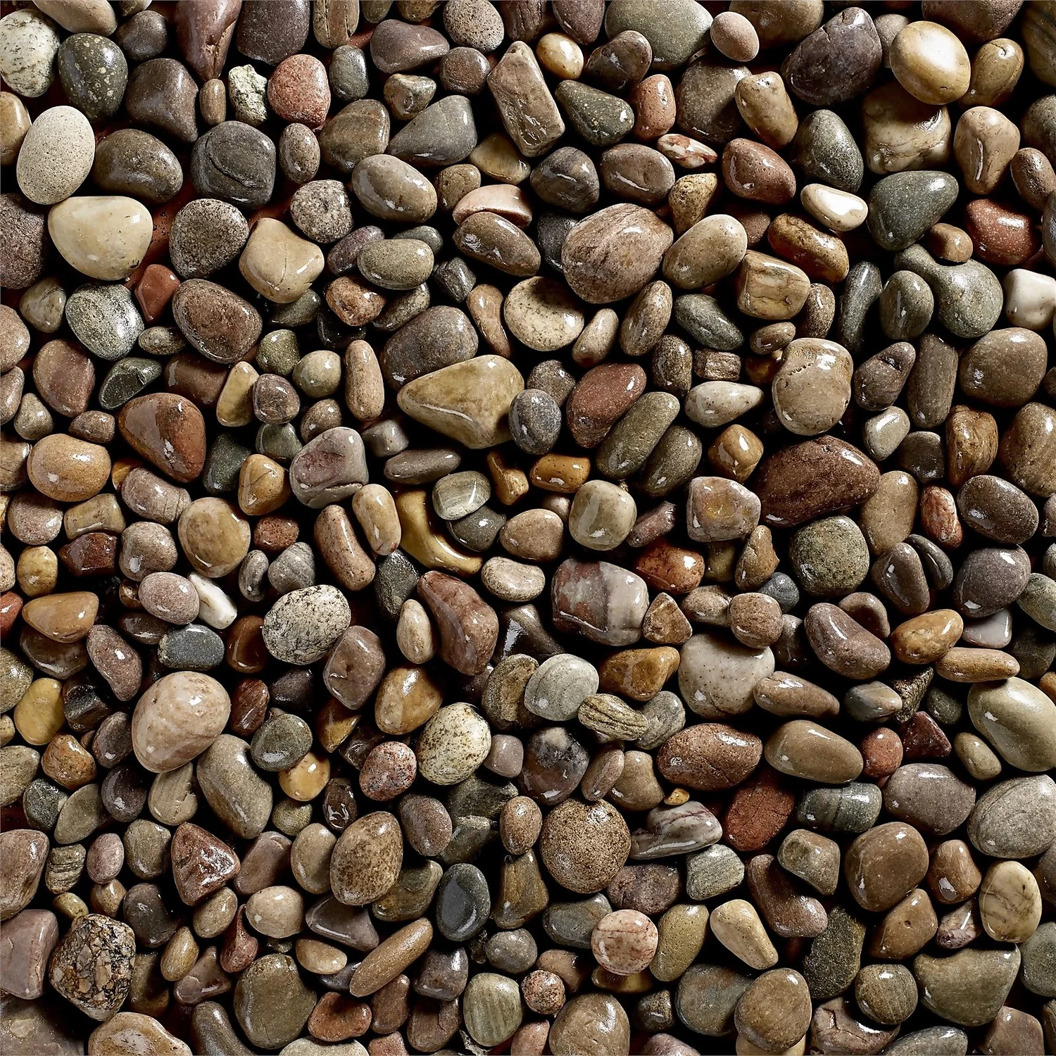 Stylish Stone Premium Scottish Cobbles - Bulk Bag 750 Kg 4 Stylish Stone Premium Scottish Cobbles - Bulk Bag 750 Kg - Image 2