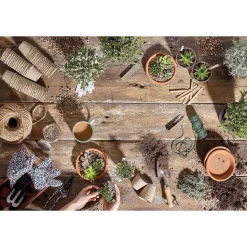 RHS Horticultural Silver Sand - Large - 20kg -Garden Furniture Store 12813004 9724857553728456