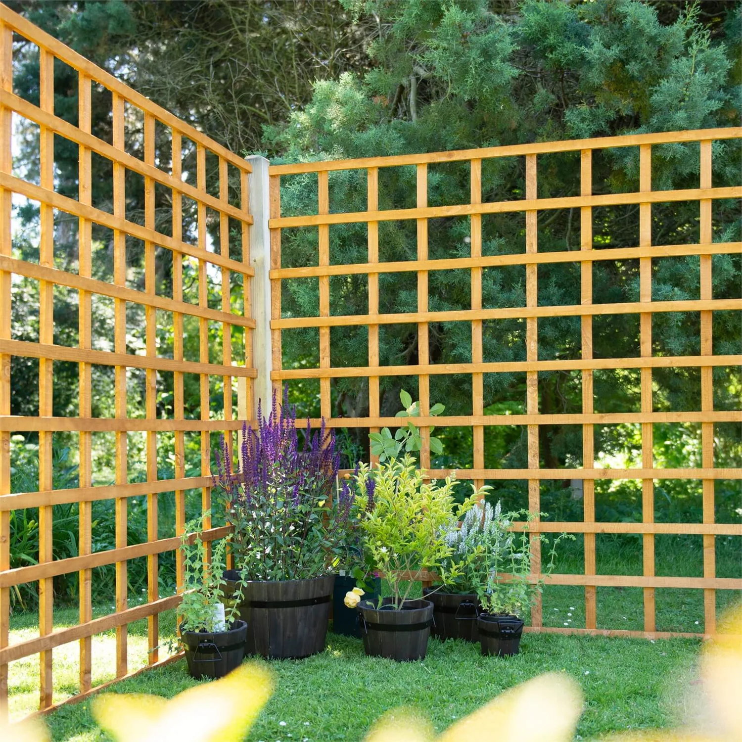 Heavy Duty Trellis - 183cm - Pack Of 4 4 Heavy Duty Trellis - 183cm - Pack Of 4 - Image 2