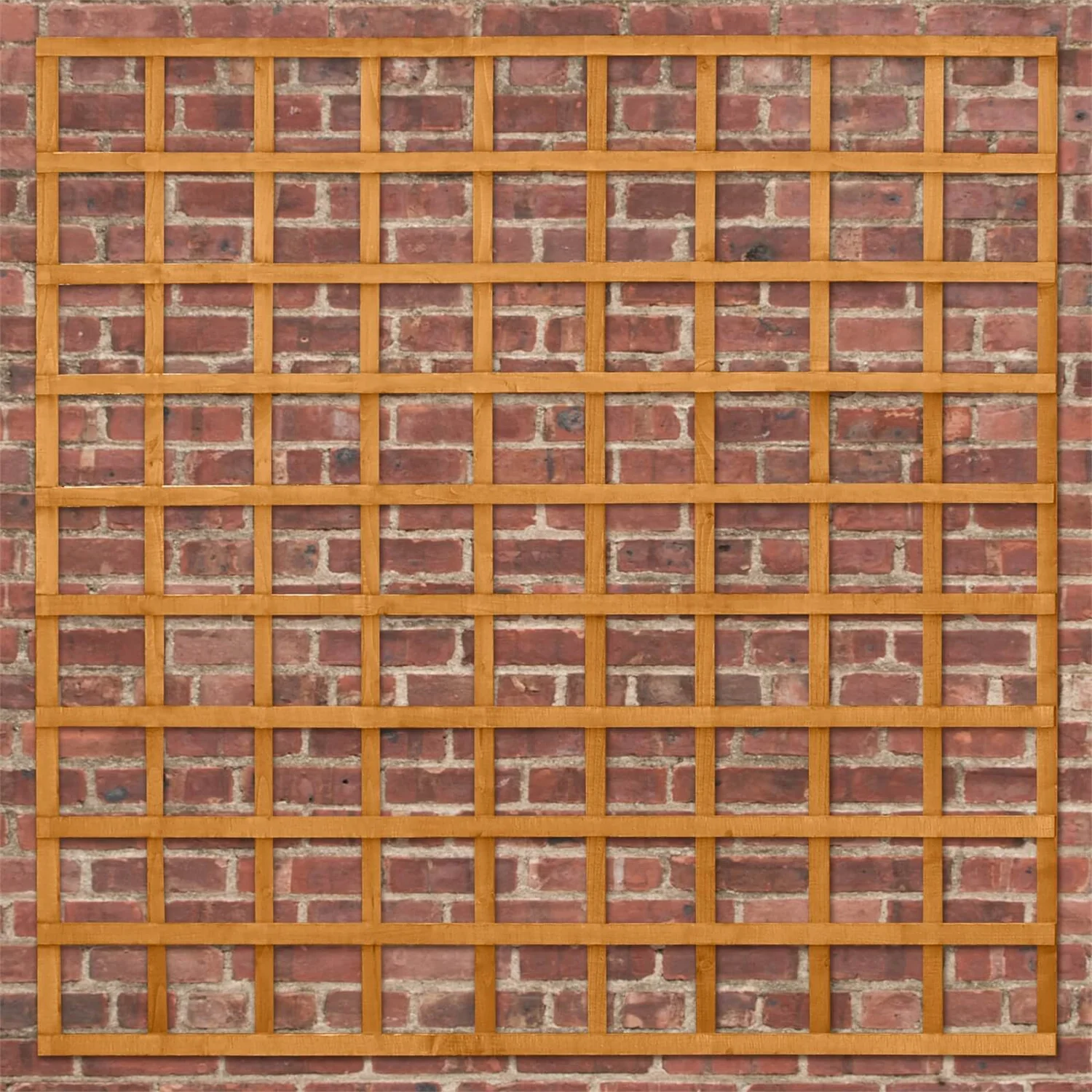 Heavy Duty Trellis - 183cm - Pack Of 4 7 Heavy Duty Trellis - 183cm - Pack Of 4 - Image 5