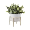 Potted Plant - White With Gold Legs -Garden Furniture Store 12833690 1254831603452828