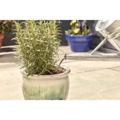 Miracle-Gro Pump & Feed All Purpose Plant Food - 200ml -Garden Furniture Store 12834802 8834833167206419