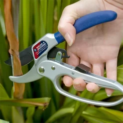 Spear & Jackson Razorsharp Secateurs With Loop Handle 5 Spear & Jackson Razorsharp Secateurs With Loop Handle -Garden Furniture Store 12836152 1794833222720663