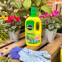 Miracle-Gro Pour & Feed Ready To Use Plant Food - 1L -Garden Furniture Store 12845618 9545034803184045