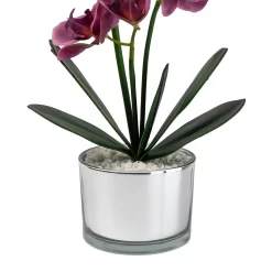 Orchid With Silver Glass Pot - Purple -Garden Furniture Store 12879285 1054864281948609
