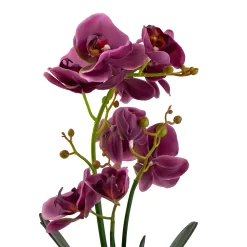 Orchid With Silver Glass Pot - Purple -Garden Furniture Store 12879285 2084864281975504