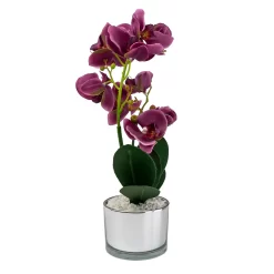 Orchid With Silver Glass Pot - Purple -Garden Furniture Store 12879285 4804864281923592