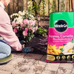 Miracle Gro Premium Azalea, Camellia & Rhododendron Ericaceous Compost - 40L 13 Miracle Gro Premium Azalea, Camellia & Rhododendron Ericaceous Compost - 40L -Garden Furniture Store 12882812 1404843671956442