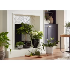 Regent Glazed Urn Planter - 39cm 15 Regent Glazed Urn Planter - 39cm -Garden Furniture Store 12885370 7534948242967890