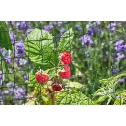 25mm Black Fruit Netting -Garden Furniture Store 12885599 1044856730193560