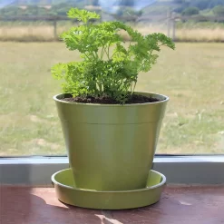 8in Bamboo Saucer Single Sage Green -Garden Furniture Store 12885604 8804843487500452