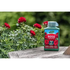 Westland Rose Specialist Liquid Plant Food Concentrate - 1l -Garden Furniture Store 12886481 2064851896034990
