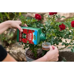 Westland Rose Specialist Liquid Plant Food Concentrate - 1l -Garden Furniture Store 12886481 7044936610878716