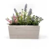 Flocking Lavender In Wooden Case