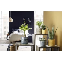 Alma Ceramic Pot - 19cm 5 Alma Ceramic Pot - 19cm -Garden Furniture Store 12888968 1014843773869496