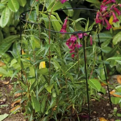 Smart Garden Flexiring Single 35cm With 60cm Legs -Garden Furniture Store 12889116 1934856734792755