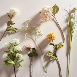 Garden Furniture Store -Garden Furniture Store 12913567 8584857400384818