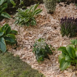 Westland Rustic Wood Chips - 60L 8 Westland Rustic Wood Chips - 60L -Garden Furniture Store 13280769 1564929084866478