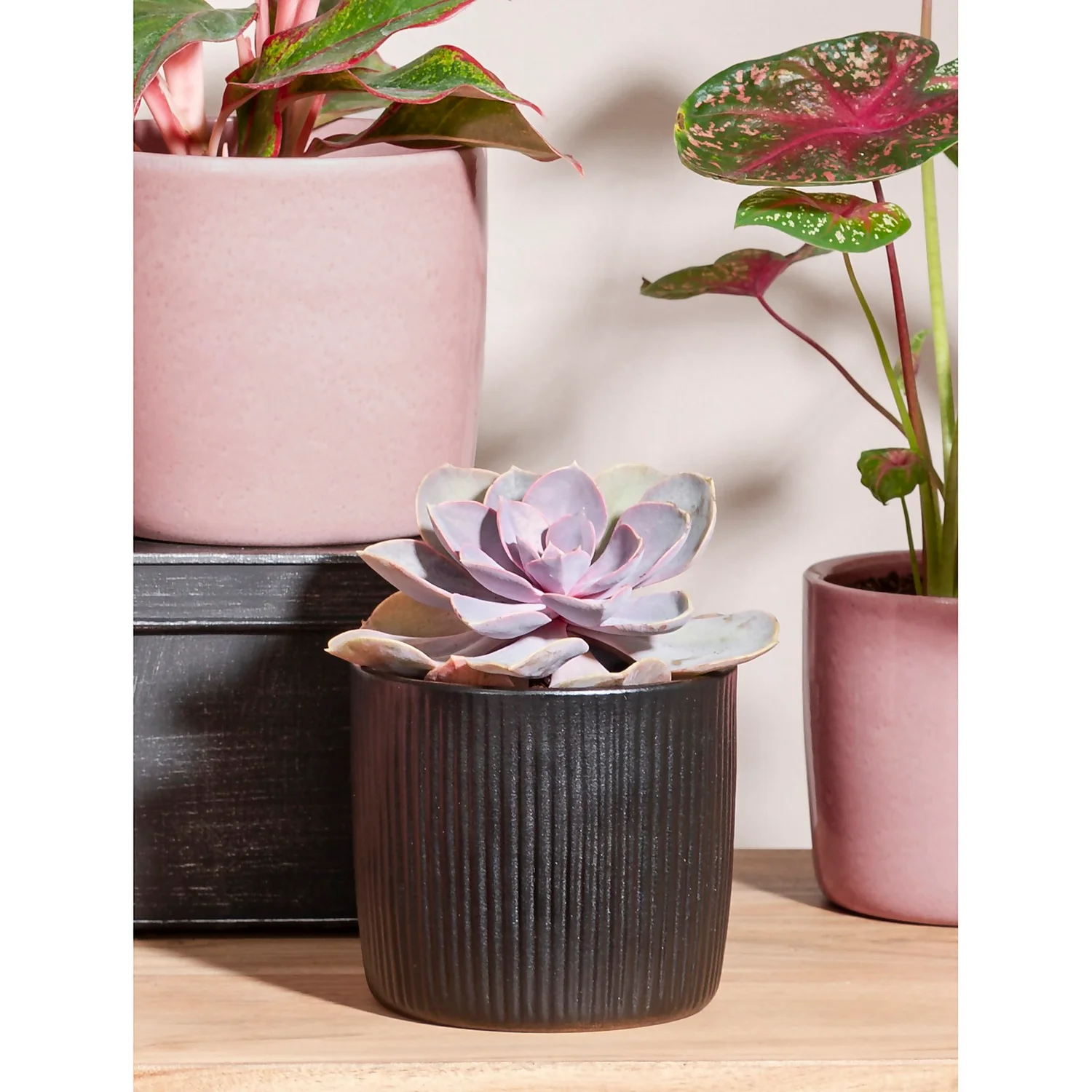 Black Ebano Plant Pot - 13cm 4 Black Ebano Plant Pot - 13cm - Image 2