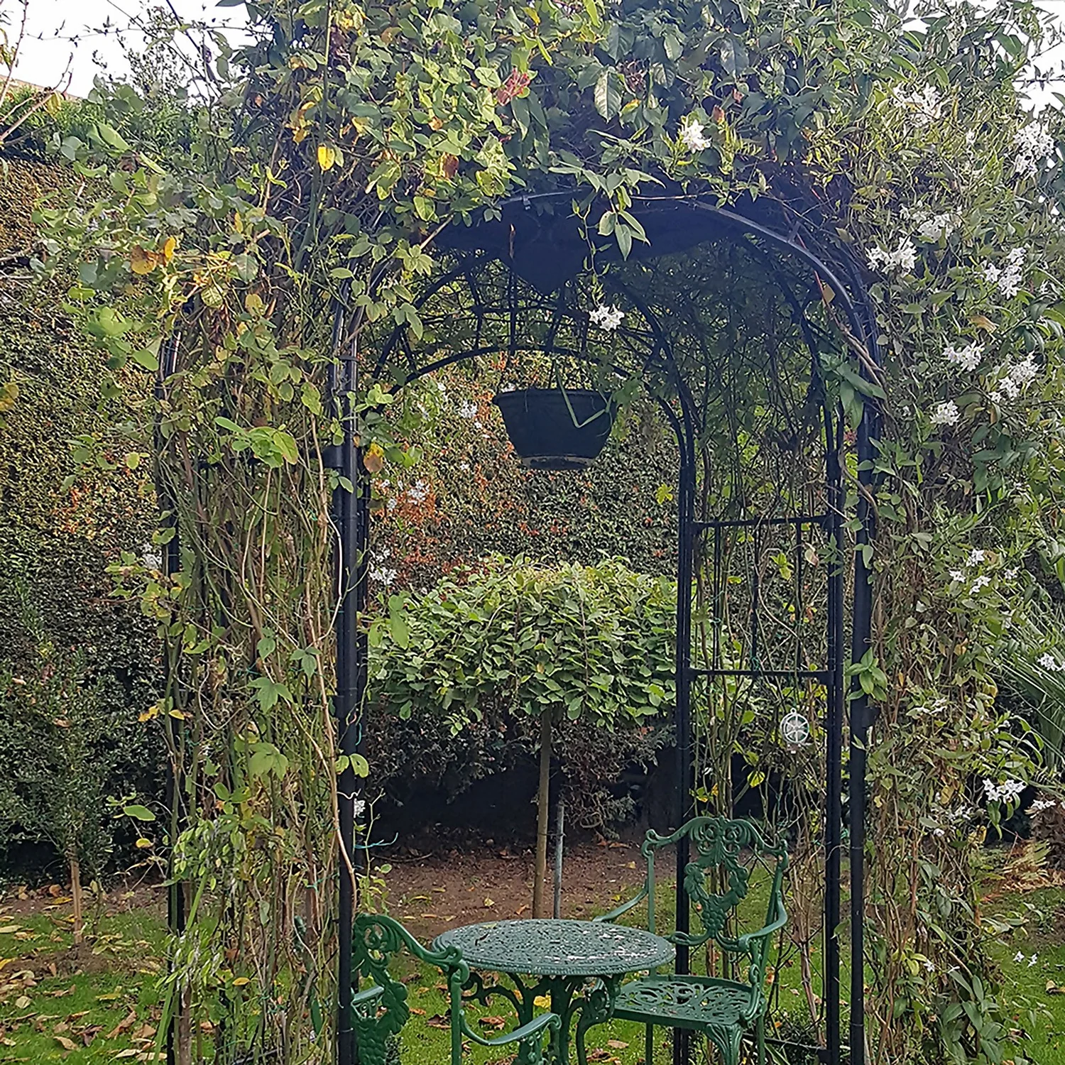 Agriframes Round Gazebo - (H)2.2 X (Diameter)1.8 M - Black 4 Agriframes Round Gazebo - (H)2.2 X (Diameter)1.8 M - Black - Image 2