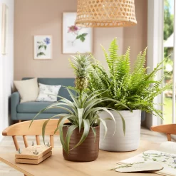 Scheurich Ripple Brown Indoor Pot - 23cm -Garden Furniture Store 13953261 1874987120067466