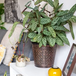 Vintage Allium Patterned Cone Pot - 37cm -Garden Furniture Store 13973621 6475011239983391