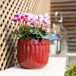 Chiswick Running Pot Red - 30cm -Garden Furniture Store 13973649 1275011242746559