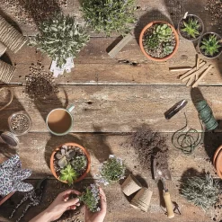 Stylish Stone Horticultural Potting Grit Midi Bag -Garden Furniture Store 13996142 1945013107357973