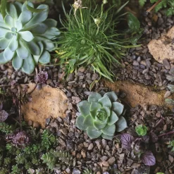 Stylish Stone Horticultural Alpine Grit Midi Bag -Garden Furniture Store 13996143 6585013107271291