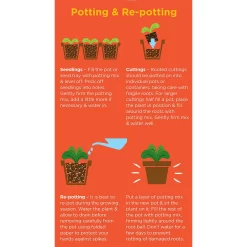Westland Cacti & Succulent Potting Mix Peat Free 4L -Garden Furniture Store 14013786 1245003754031248