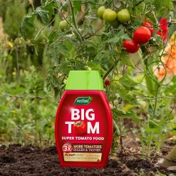 Westland Big Tom Super Tomato Food -Garden Furniture Store 14013789 1265003754036822