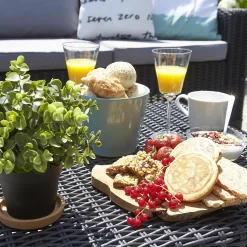 Keter California 5 Seater Outdoor Garden Furniture Lounge Set - Graphite With Grey Cushions 14 Keter California 5 Seater Outdoor Garden Furniture Lounge Set - Graphite With Grey Cushions -Garden Furniture Store 14539595 1735047218313077